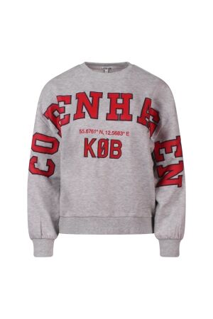 lizzi lou College W10474 light grey melee