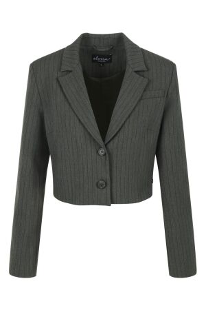 Elvira Casuals Dames jasje Elvira Casuals E4 25-018 0140 green stripe