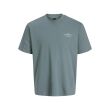 jack&jones  Heren shirt km ronde hals Direct leverbaar uit de webshop van www.lots-of-fashion.nl/
