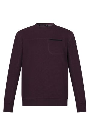 Stonecast Heren trui lm ronde hals Stonecast Tauro men W10486 as Tovi men dk purple