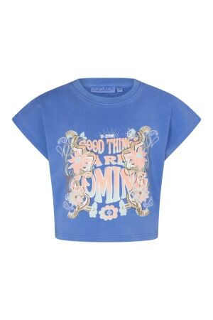 D Zine Sente Z90119 as Sue blue