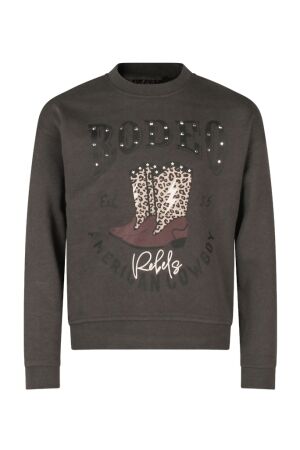 D Zine Meisjes trui lm ronde hals kort D Zine Lizzi W10231 antraciet 19-0201 asphalt