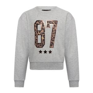 D Zine Teodora W10111 grey melee