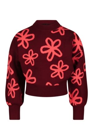 D Zine Tanomi W10117 hart dark red