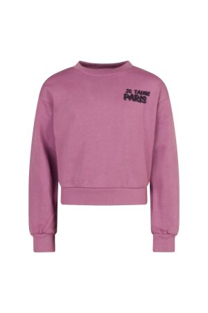 D Zine Tinka W10126 17-3313 dusty lavender