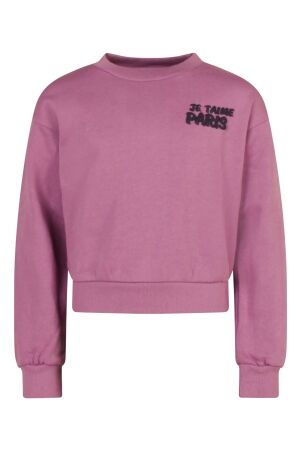 D Zine Tinka W10126 17-3313 dusty lavender