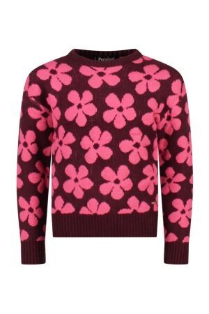 Persival Meisjes trui lm ronde hals kort Persival 3110302 W10057 08.GRAPE.W25