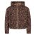 Kleur Bruin