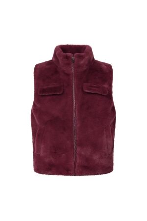 D Zine GJ-66188 W10338 19-1617 burgundy
