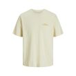jack & jones junior  Jongens shirt km ronde hals Direct leverbaar uit de webshop van www.lots-of-fashion.nl/