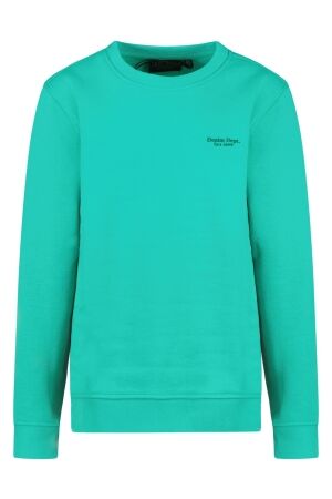 Cars jeans Jongens trui  Cars jeans 32265 55 green
