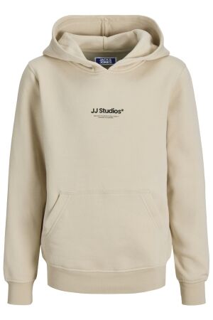 jack & jones junior Jongens trui capuchon jack & jones junior 12279109 MOONBEAM