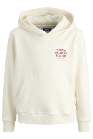 jack & jones junior Jongens trui capuchon jack & jones junior 12284109 4834952 antique white