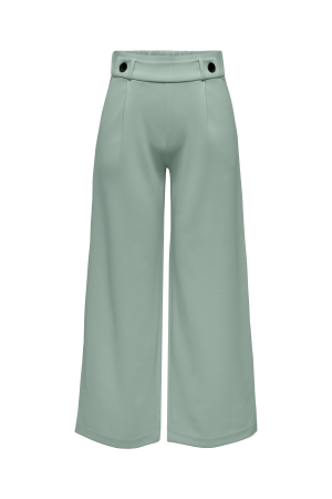 Jacqueline de Yong 15208430 Groen