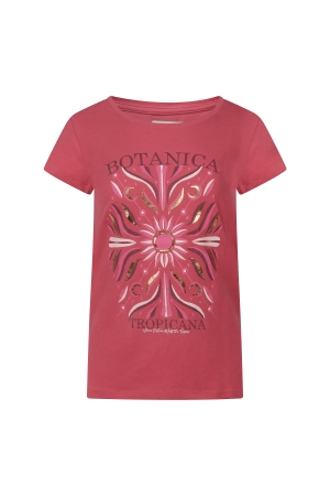 City Life Baudy Z10577 Paars mauve