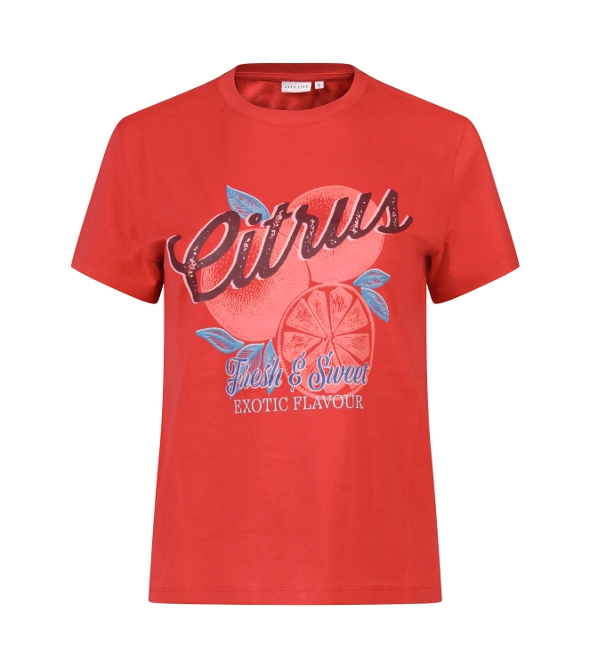 City Life 213725A Z10629 Rood midden