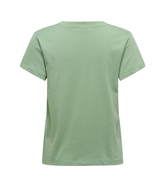 Jacqueline de Yong 15363528 Groen