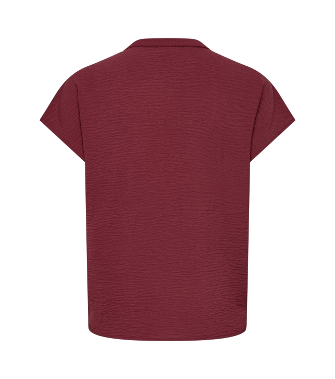 Jacqueline de Yong 15249287 Rood wijn