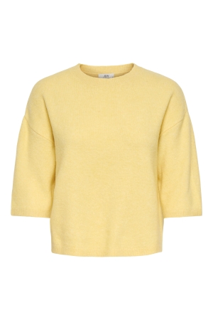 Jacqueline de Yong 15374622 Geel