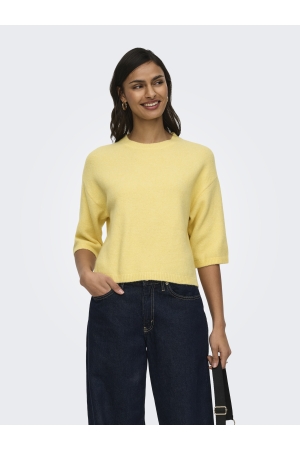 Jacqueline de Yong 15374622 Geel