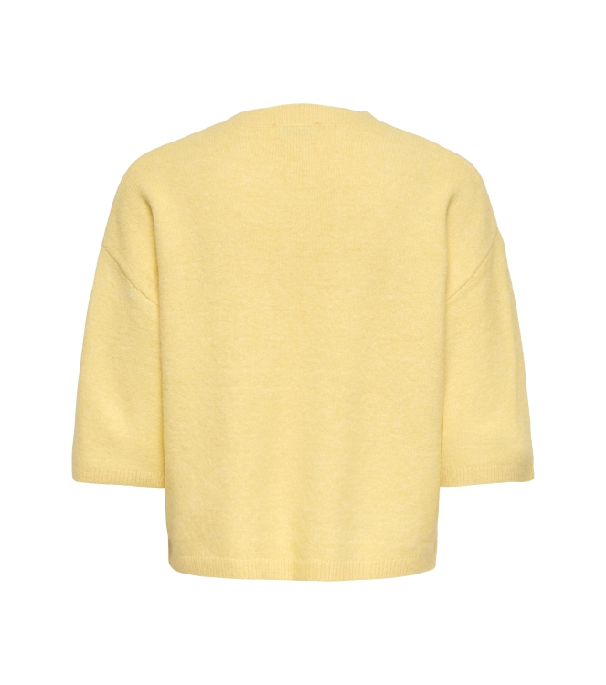 Jacqueline de Yong 15374622 Geel