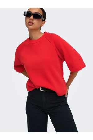 Jacqueline de Yong 15384345 Rood fel