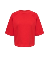 Jacqueline de Yong 15384345 Rood fel