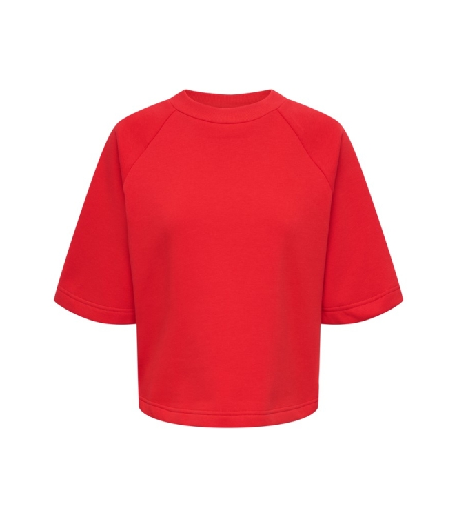 Jacqueline de Yong 15384345 Rood fel
