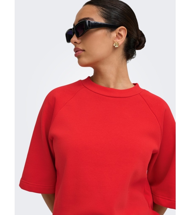 Jacqueline de Yong 15384345 Rood fel