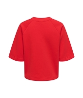 Jacqueline de Yong 15384345 Rood fel