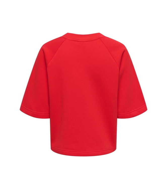 Jacqueline de Yong 15384345 Rood fel