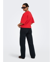 Jacqueline de Yong 15384345 Rood fel