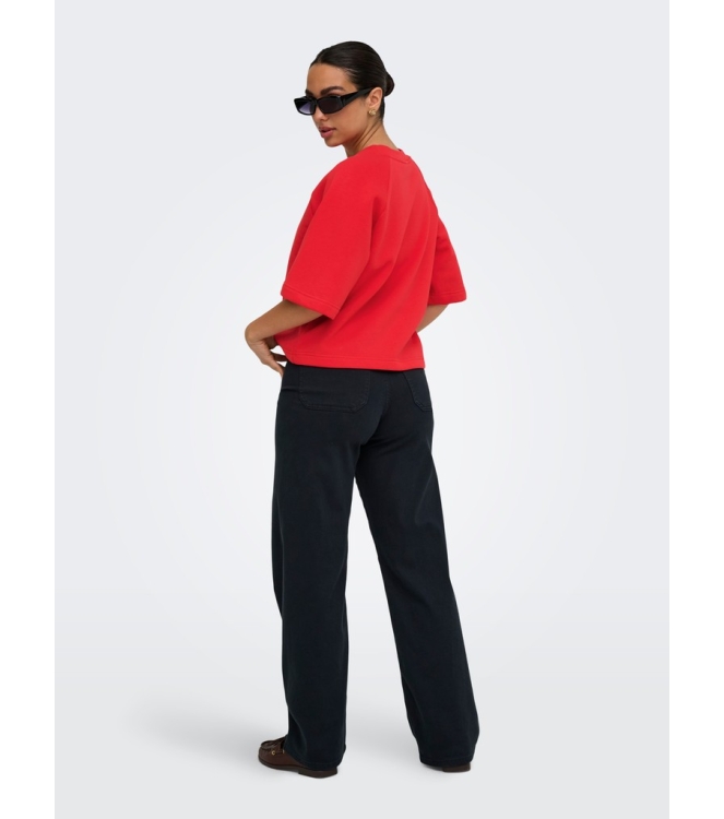 Jacqueline de Yong 15384345 Rood fel