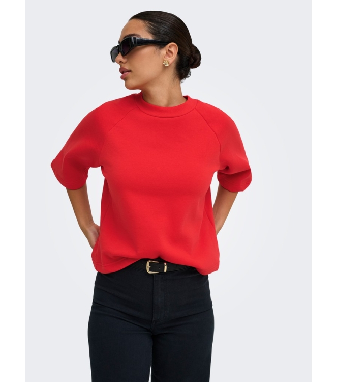 Jacqueline de Yong 15384345 Rood fel
