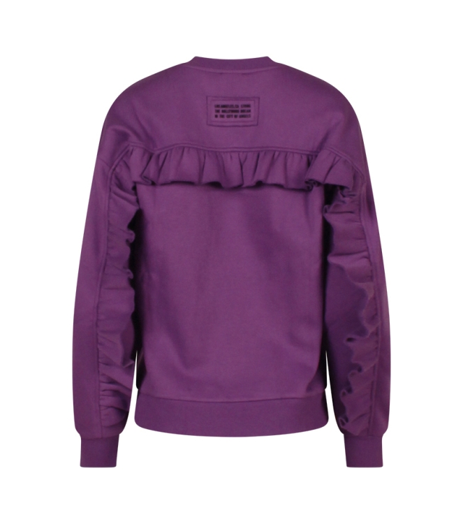 lizzi lou 213889 W10390 Paars fel