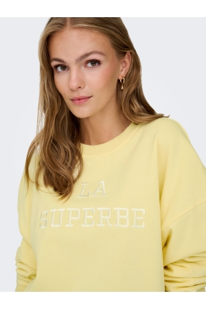 Jacqueline de Yong 15370526 Geel zacht