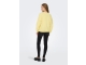Jacqueline de Yong 15370526 Geel zacht