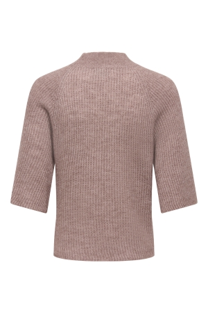 Jacqueline de Yong 15379684 Bruin midden