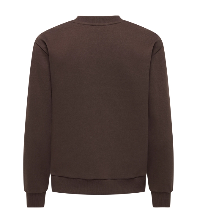 Jacqueline de Yong 15221015 Bruin donker
