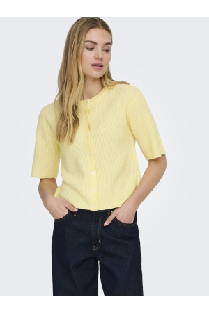 Jacqueline de Yong 15375964 Geel zacht