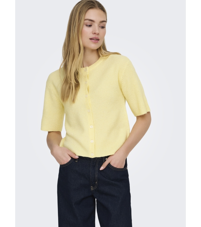 Jacqueline de Yong 15375964 Geel zacht