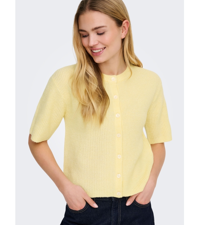 Jacqueline de Yong 15375964 Geel zacht