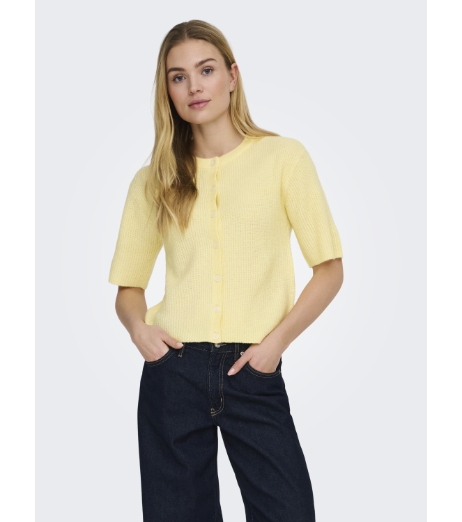 Jacqueline de Yong 15375964 Geel zacht