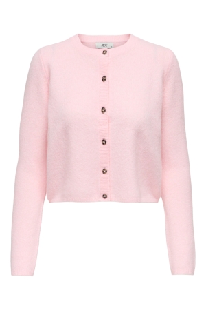 Jacqueline de Yong 15330581 Rose