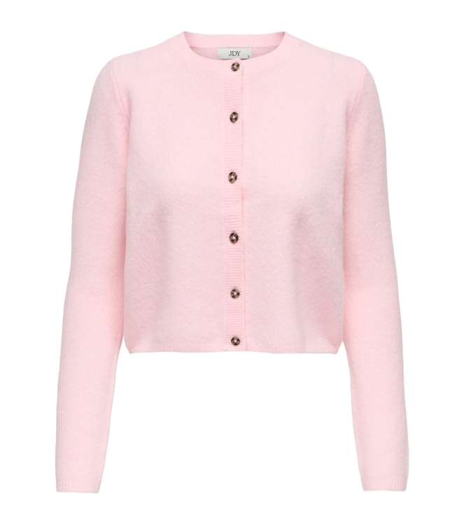 Jacqueline de Yong 15330581 Rose