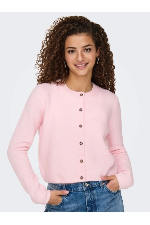 Jacqueline de Yong 15330581 Rose