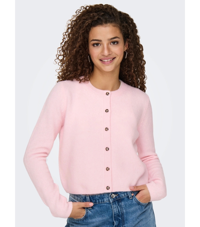 Jacqueline de Yong 15330581 Rose