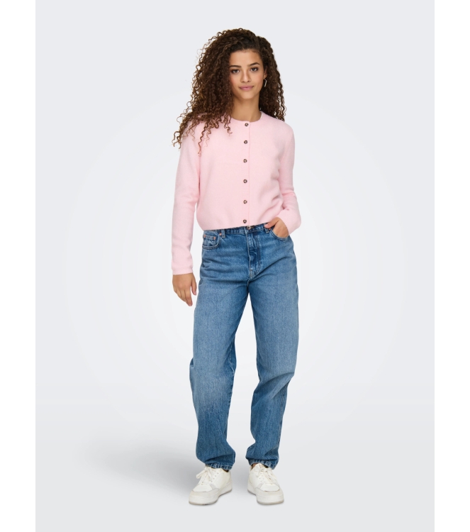 Jacqueline de Yong 15330581 Rose