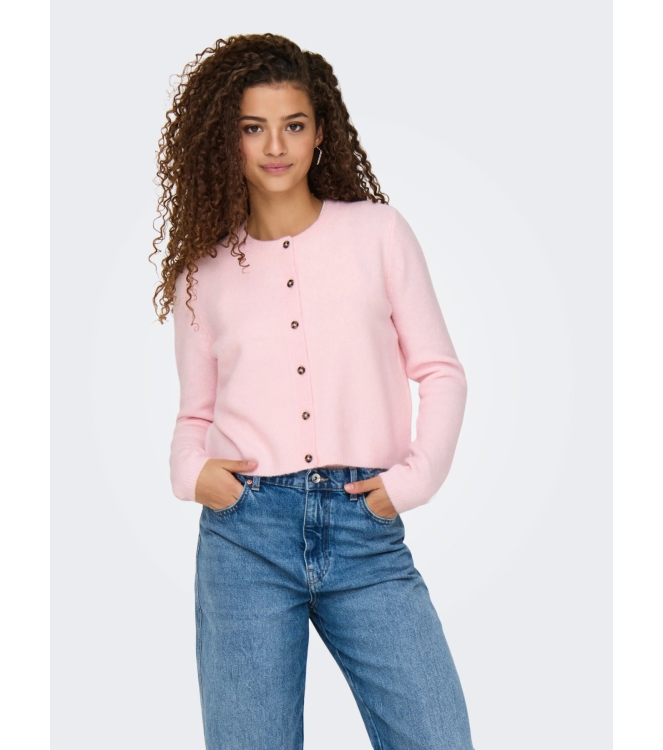 Jacqueline de Yong 15330581 Rose