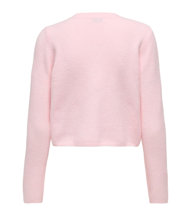 Jacqueline de Yong 15330581 Rose